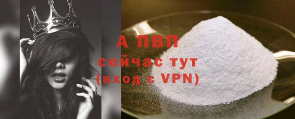 СК Новокубанск