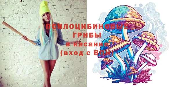 МДМА Новозыбков