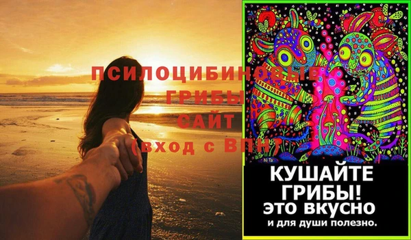 дурь Алексин